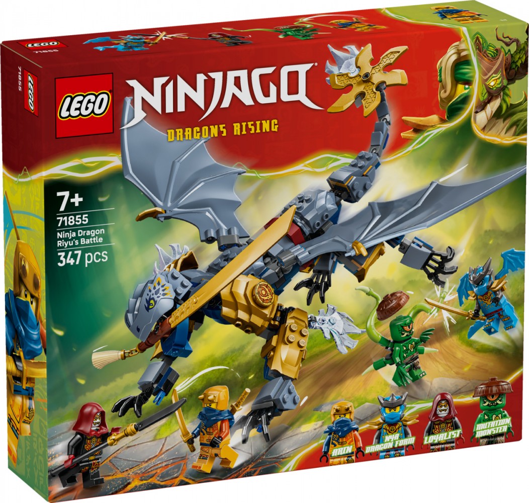 LEGO Bricks Ninjago 71855 Ninja Dragon