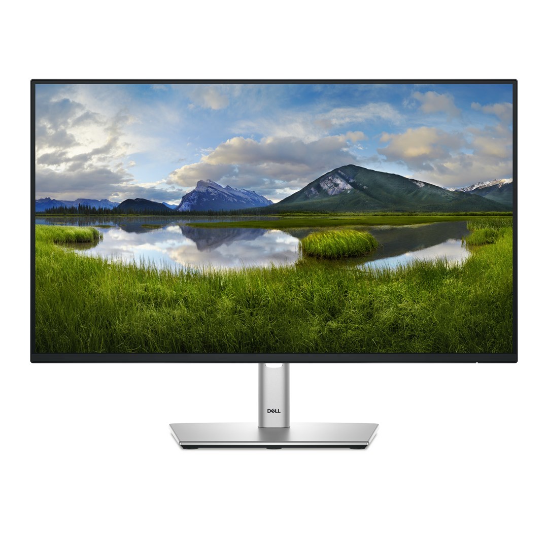 Dell  Pro Plus P2425HE computer monitor