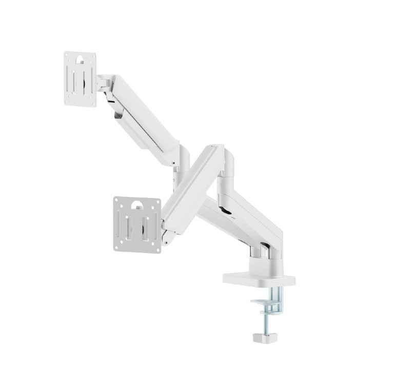 Gembird  Desk arm for two monitors