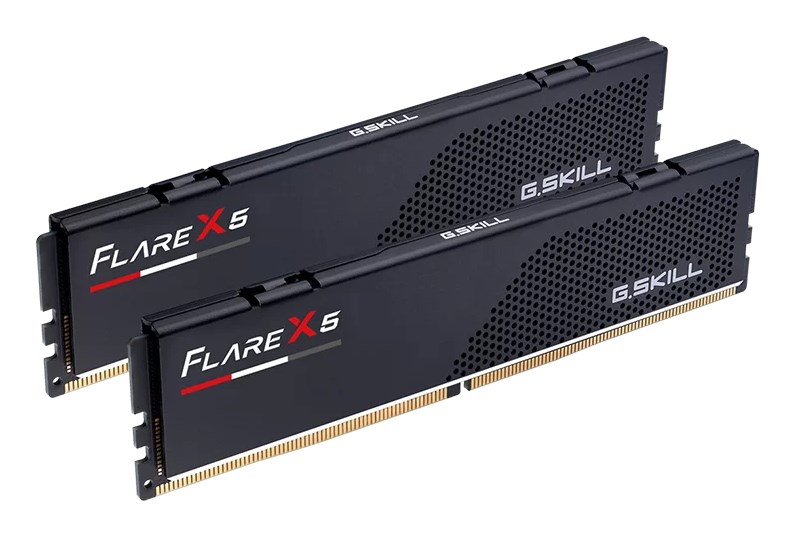 G.SKILL  Flare X5 F5-5200J4040A24GX2-FX5 memory