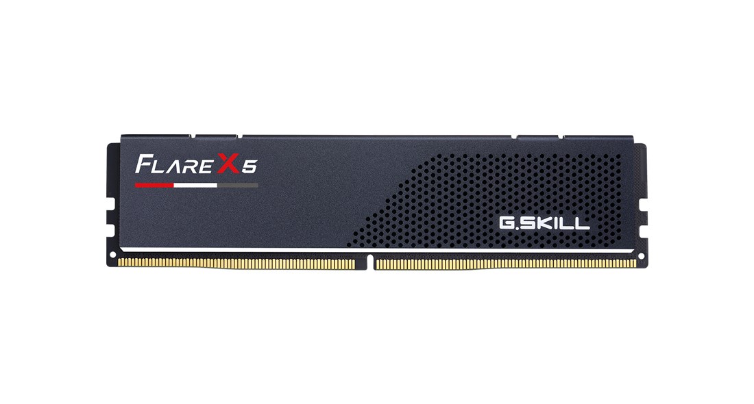 G.SKILL  Flare X5 AMD DD