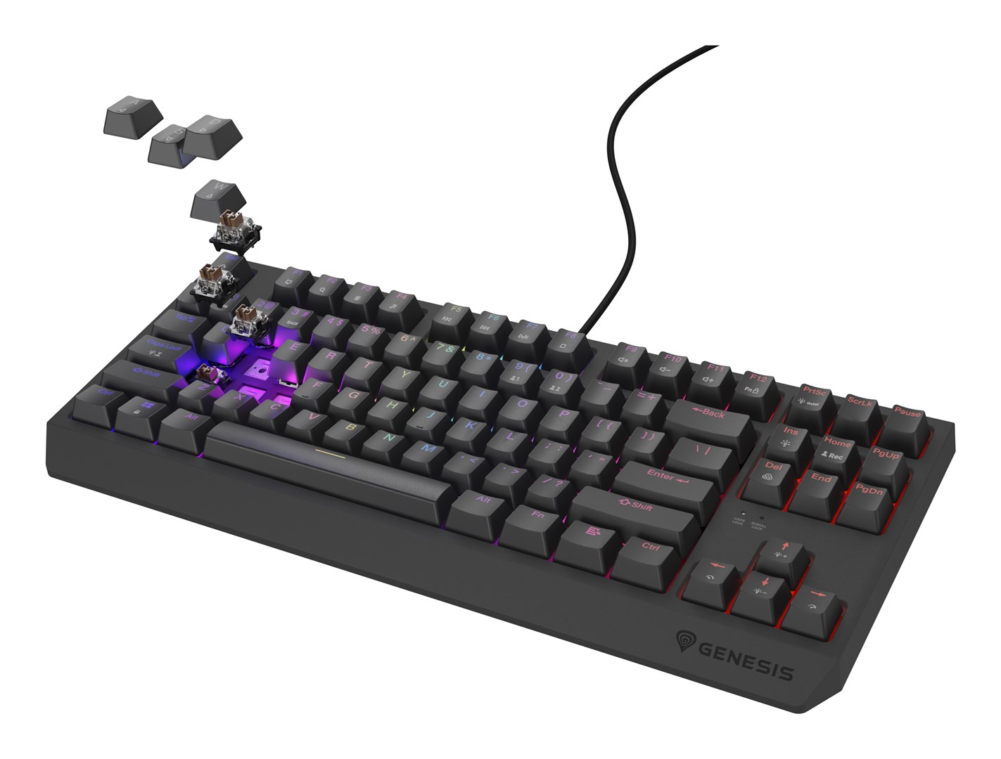 GENESIS Thor 230 TKL Outemu Brown