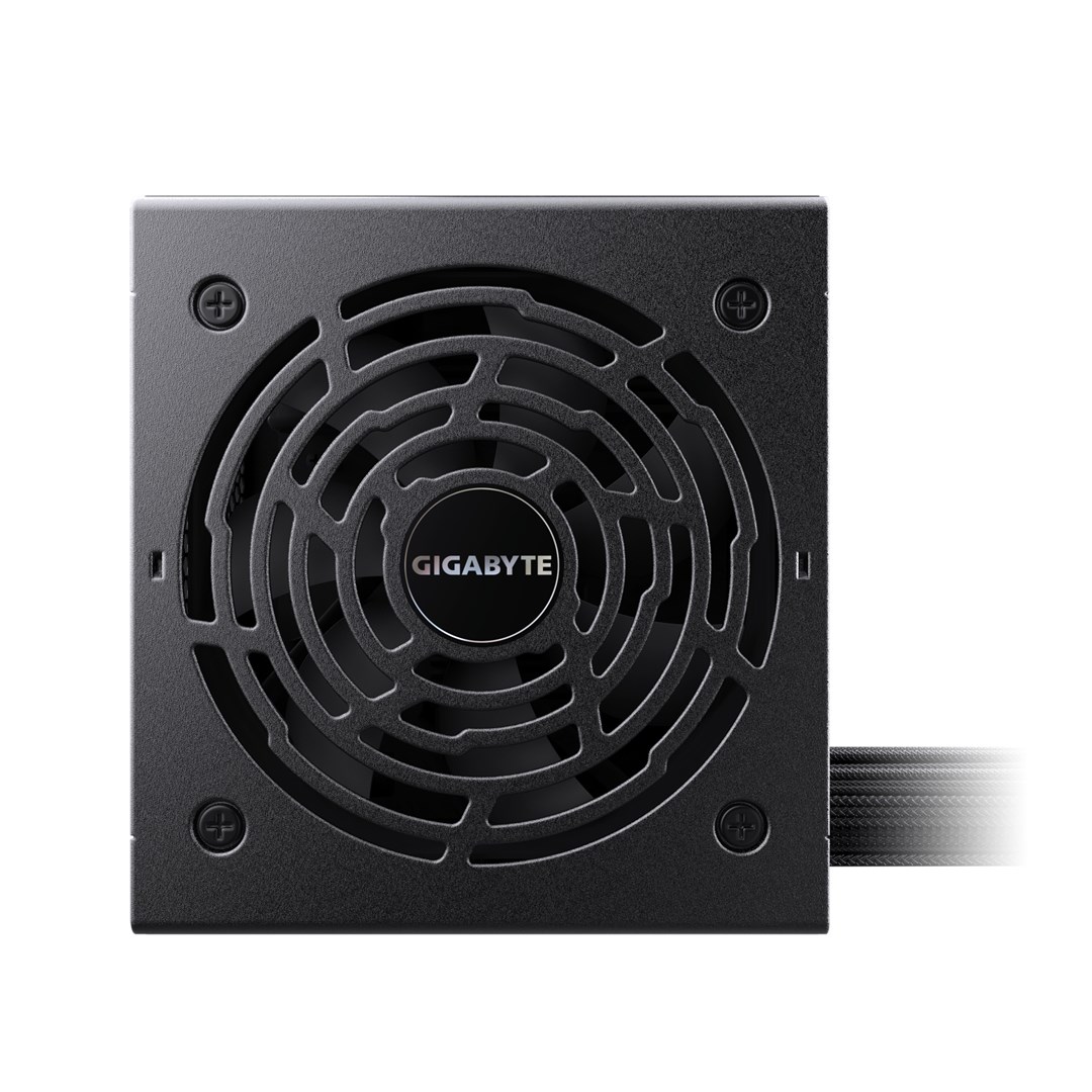 GIGABYTE P750BS Power Supply - PCIe