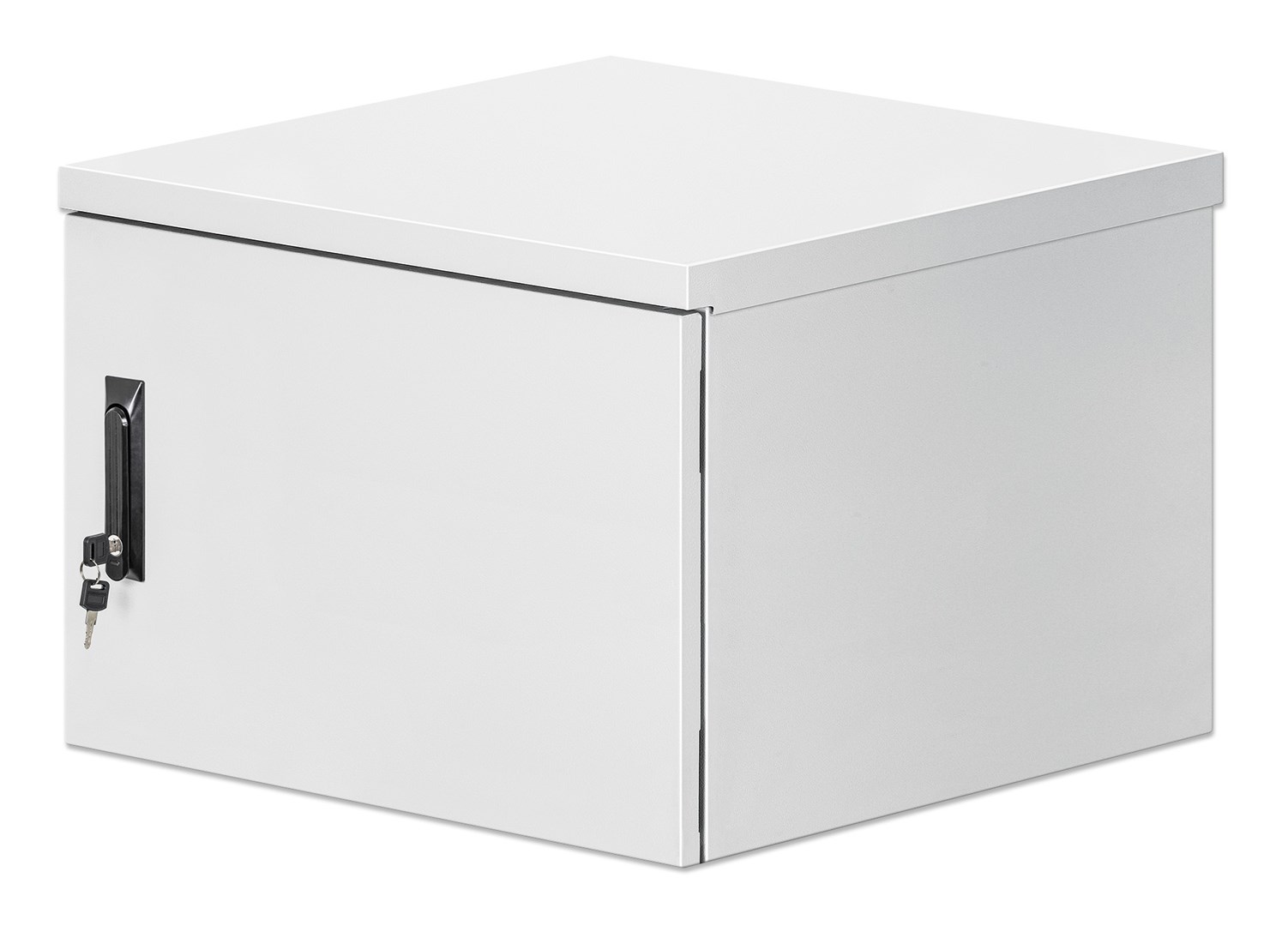 Intellinet  Industrial IP55 19" Wall Mount
