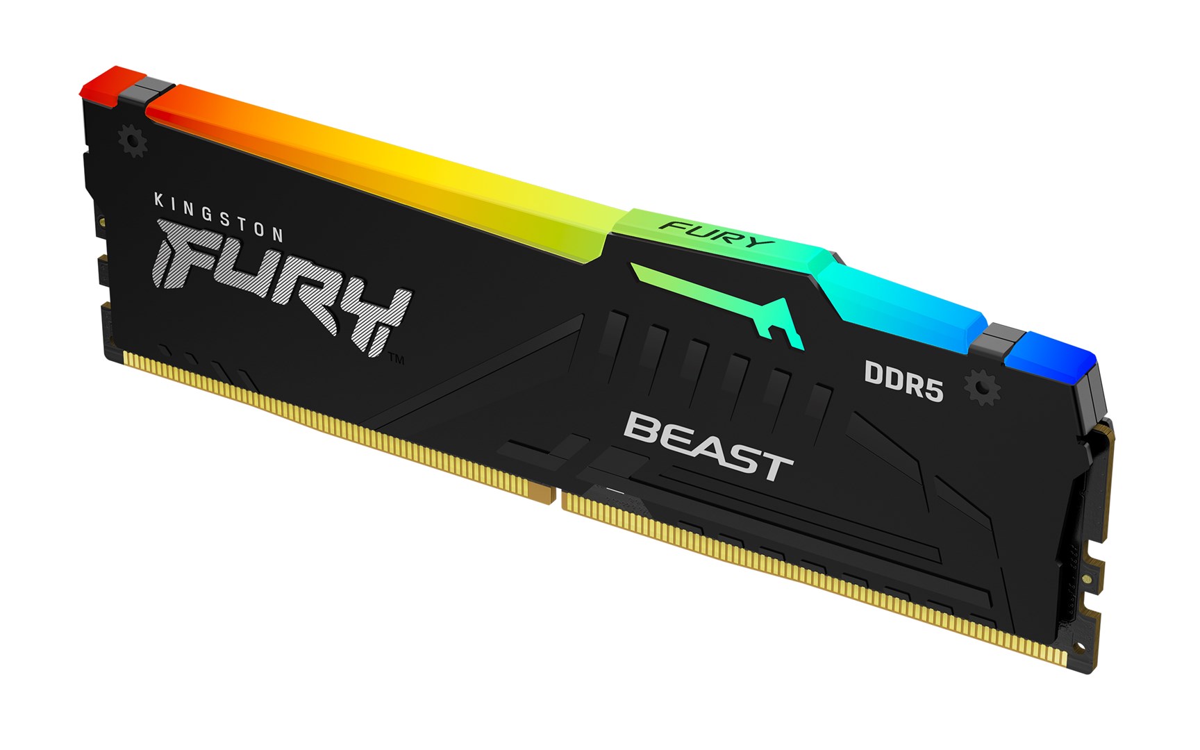 KINGSTON  Technology FURY Beast 16GB 5600MT/s