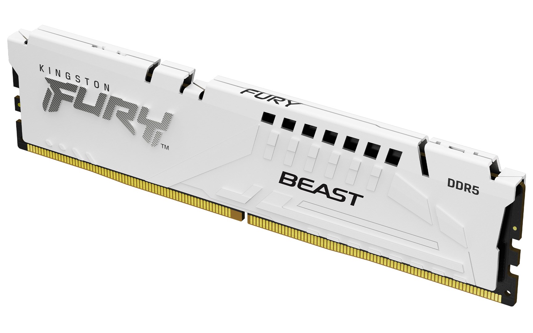 KINGSTON Memory DDR5 Fury Beast 16GB(1*16GB)/6400