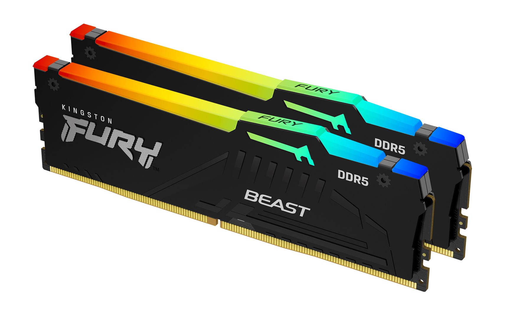 KINGSTON  Technology FURY Beast 64GB 6000MT/s