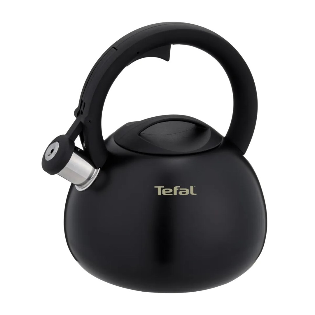 Tefal Non-Electric Kettle N4180410, Black, Matte