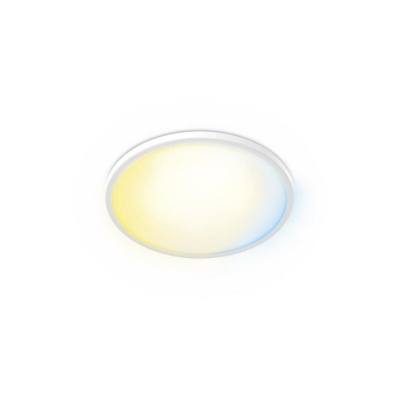 Philips  Valen Ceiling Light 22W |