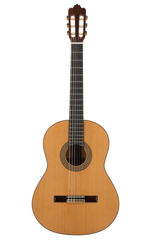 No name Prodipe Guitars Soloist 900