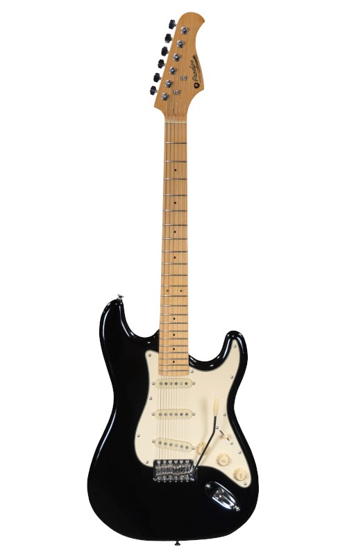 No name Prodipe Guitars ST80 MA