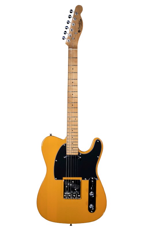 No name Prodipe Guitars TC80 MA