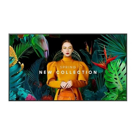 SAMSUNG Professional monitor QH50C 50 inches