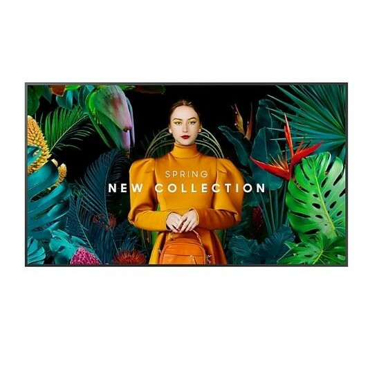 SAMSUNG Professional monitor QM55C 55 inches