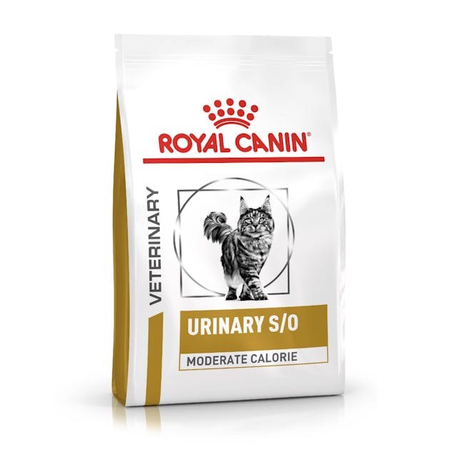 Royal Canin  Cat Urinary s/o Moderate