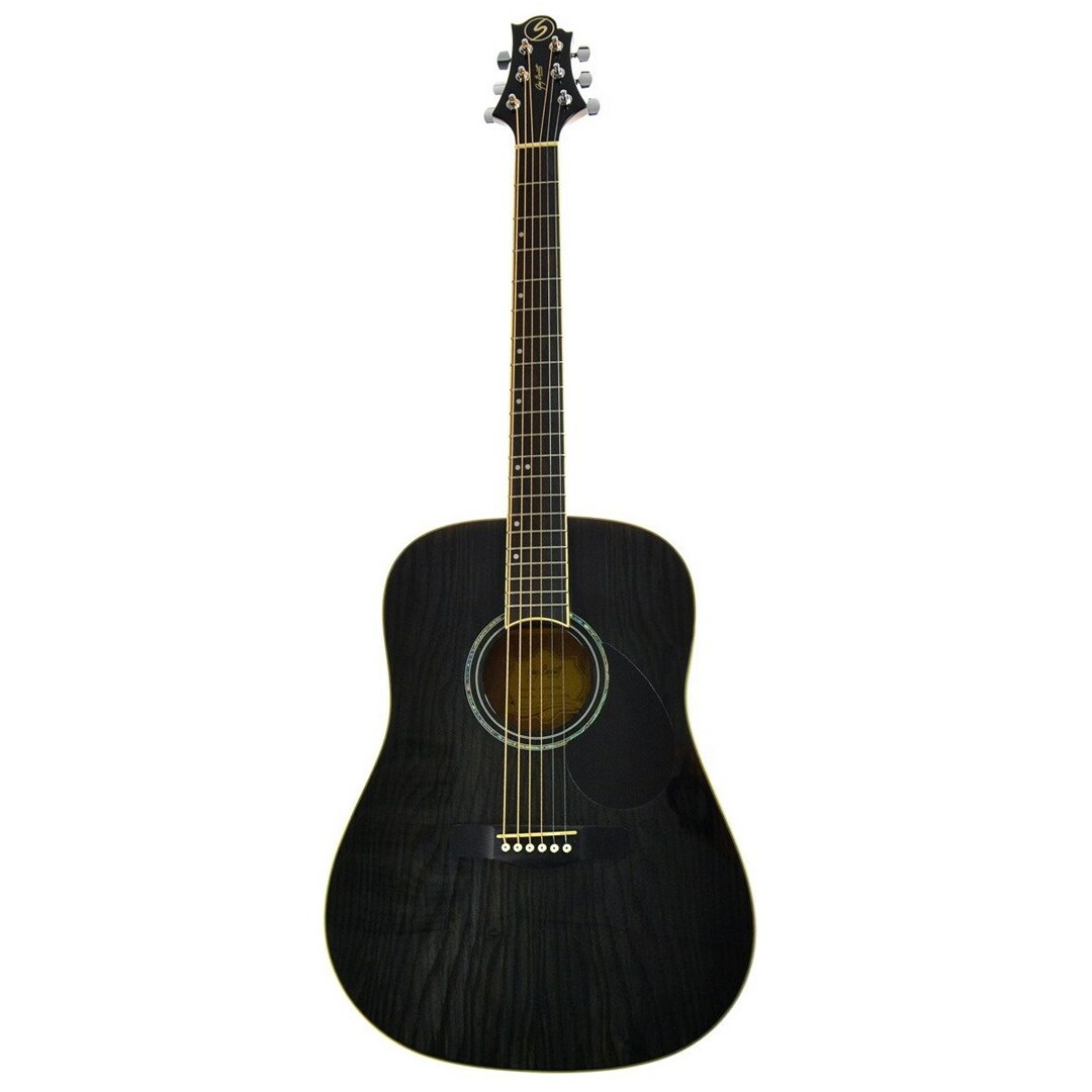 No name Samick Greg Bennett D-4