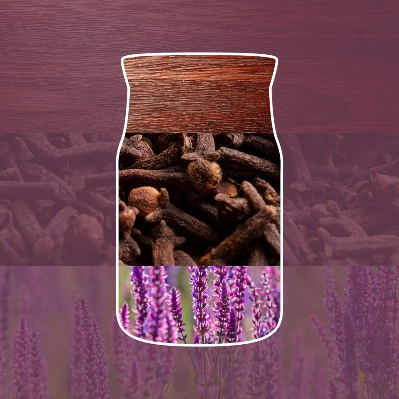 YANKEE home Scented candle YANKEE CANDLE