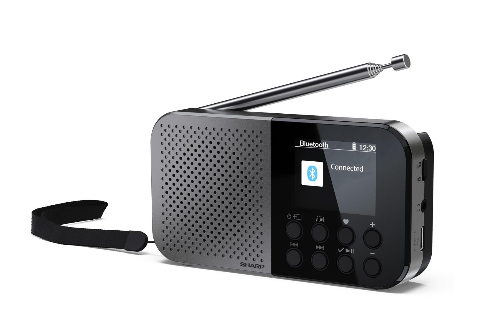 Sharp  DR-P520 Personal Digital Grey |
