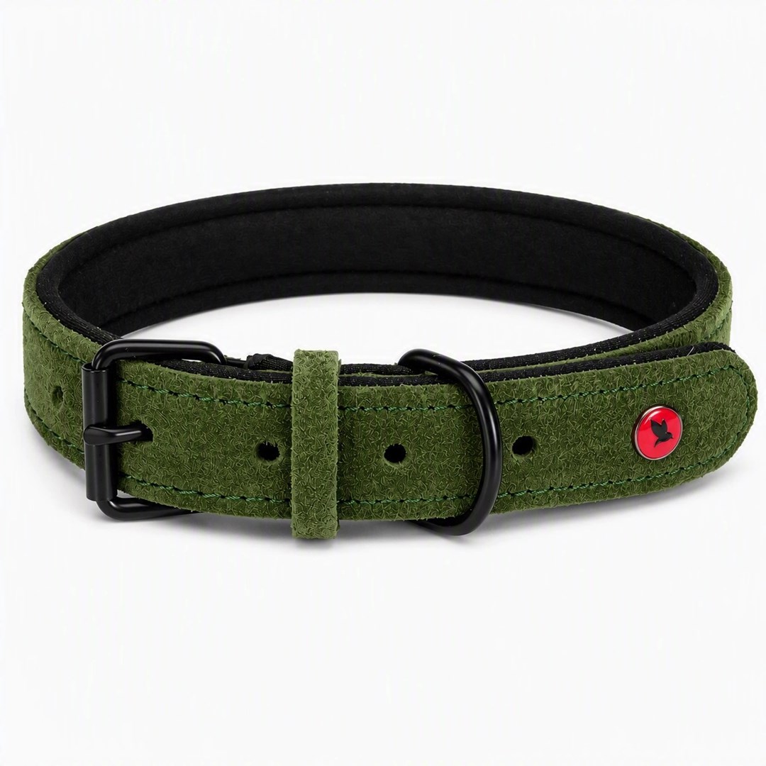 ZOLUX  Komfort Leather, green color –